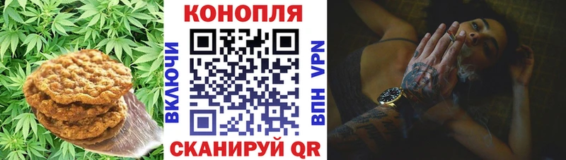 МЕГА зеркало  Мензелинск  Cannafood конопля  купить  сайты 