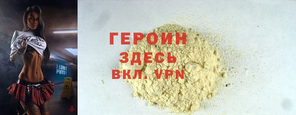 индика Моршанск