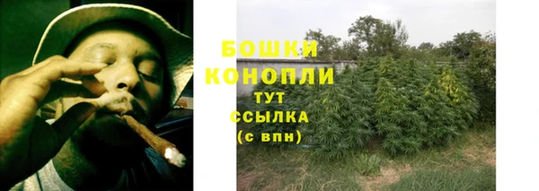 гашик Надым
