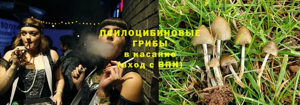 MESCALINE Вяземский