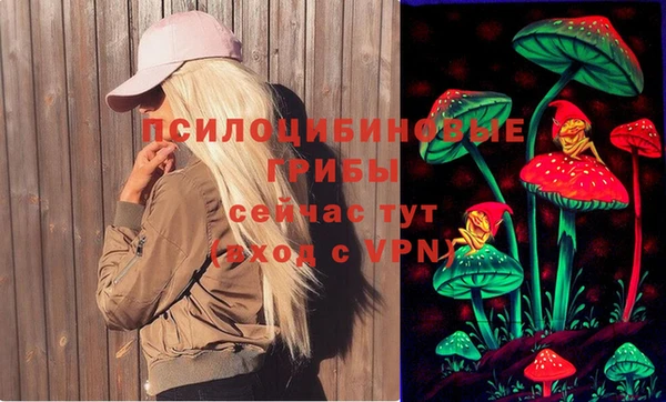 соль ск Нефтекумск