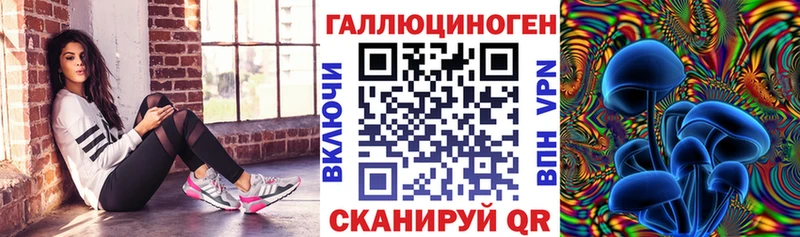 Псилоцибиновые грибы Psilocybine cubensis  Мензелинск 